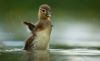 Filename=96294481_2.jpg
Filesize=25KB
Dimensions=699x430
Date added=Dec 03, 2018 96294481_2.jpg