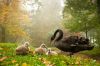 Filename=96294485_4.jpg
Filesize=286KB
Dimensions=699x466
Date added=Dec 03, 2018 96294485_4.jpg