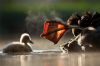Filename=96294488_5.jpg
Filesize=47KB
Dimensions=700x467
Date added=Dec 03, 2018 96294488_5.jpg