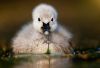 Filename=96294497_11.jpg
Filesize=33KB
Dimensions=699x482
Date added=Dec 03, 2018 96294497_11.jpg