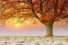 Filename=96323785_11.jpg
Filesize=229KB
Dimensions=699x466
Date added=Dec 03, 2018 96323785_11.jpg