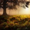 Filename=96323798_24.jpg
Filesize=252KB
Dimensions=670x670
Date added=Dec 03, 2018 96323798_24.jpg