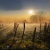Filename=96323803_29.jpg
Filesize=197KB
Dimensions=670x670
Date added=Dec 03, 2018 96323803_29.jpg