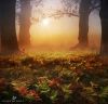 Filename=96323811_36.jpg
Filesize=221KB
Dimensions=670x648
Date added=Dec 03, 2018 96323811_36.jpg