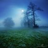 Filename=96323812_37.jpg
Filesize=170KB
Dimensions=670x670
Date added=Dec 03, 2018 96323812_37.jpg