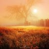 Filename=96323813_38.jpg
Filesize=219KB
Dimensions=670x670
Date added=Dec 03, 2018 96323813_38.jpg