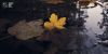 Filename=96728654_3.jpg
Filesize=71KB
Dimensions=699x351
Date added=Dec 03, 2018 96728654_3.jpg