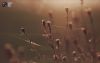 Filename=96728655_4.jpg
Filesize=60KB
Dimensions=699x442
Date added=Dec 03, 2018 96728655_4.jpg