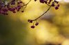 Filename=96728663_9.jpg
Filesize=80KB
Dimensions=699x466
Date added=Dec 03, 2018 96728663_9.jpg