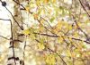 Filename=96728665_10.jpg
Filesize=175KB
Dimensions=699x512
Date added=Dec 03, 2018 96728665_10.jpg
