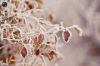 Filename=96728668_12.jpg
Filesize=99KB
Dimensions=699x466
Date added=Dec 03, 2018 96728668_12.jpg