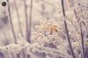 Filename=96728670_13.jpg
Filesize=101KB
Dimensions=699x466
Date added=Dec 03, 2018 96728670_13.jpg