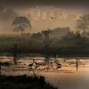 Filename=96763144_013.jpg
Filesize=74KB
Dimensions=600x600
Date added=Dec 03, 2018 96763144_013.jpg