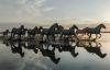 Filename=i_789.jpg
Filesize=22KB
Dimensions=480x308
Date added=Dec 03, 2018 i_789.jpg