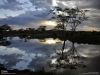 Filename=i_838.jpg
Filesize=28KB
Dimensions=426x320
Date added=Dec 03, 2018 i_838.jpg