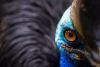 Filename=i_843.jpg
Filesize=18KB
Dimensions=477x320
Date added=Dec 03, 2018 i_843.jpg