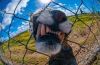 Filename=i_354.jpg
Filesize=47KB
Dimensions=480x314
Date added=Dec 03, 2018 i_354.jpg