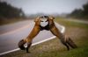 Filename=i_360.jpg
Filesize=20KB
Dimensions=480x314
Date added=Dec 03, 2018 i_360.jpg