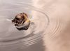 Filename=i_361.jpg
Filesize=14KB
Dimensions=427x320
Date added=Dec 03, 2018 i_361.jpg