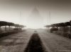 Filename=i_365.jpg
Filesize=20KB
Dimensions=427x320
Date added=Dec 03, 2018 i_365.jpg