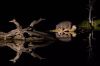 Filename=i_376.jpg
Filesize=18KB
Dimensions=480x320
Date added=Dec 03, 2018 i_376.jpg