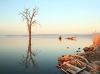 Filename=i_401.jpg
Filesize=17KB
Dimensions=427x320
Date added=Dec 03, 2018 i_401.jpg