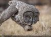 Filename=i_427.jpg
Filesize=29KB
Dimensions=427x320
Date added=Dec 03, 2018 i_427.jpg