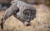 Filename=i_478.jpg
Filesize=31KB
Dimensions=480x298
Date added=Dec 03, 2018 i_478.jpg