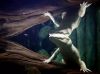 Filename=i_497.jpg
Filesize=21KB
Dimensions=427x320
Date added=Dec 03, 2018 i_497.jpg