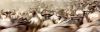 Filename=i_541.jpg
Filesize=16KB
Dimensions=480x157
Date added=Dec 03, 2018 i_541.jpg
