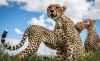 Filename=i_553.jpg
Filesize=39KB
Dimensions=480x296
Date added=Dec 03, 2018 i_553.jpg
