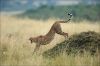 Filename=i_555.jpg
Filesize=31KB
Dimensions=480x320
Date added=Dec 03, 2018 i_555.jpg
