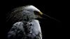 Filename=i_008.jpg
Filesize=16KB
Dimensions=480x270
Date added=Dec 03, 2018 i_008.jpg