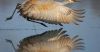 Filename=i_020.jpg
Filesize=20KB
Dimensions=480x252
Date added=Dec 03, 2018 i_020.jpg