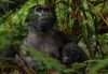 Filename=i_053.jpg
Filesize=30KB
Dimensions=460x320
Date added=Dec 03, 2018 i_053.jpg