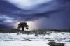 Filename=i_086.jpg
Filesize=26KB
Dimensions=480x320
Date added=Dec 03, 2018 i_086.jpg