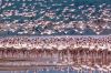 Filename=i_109.jpg
Filesize=51KB
Dimensions=480x320
Date added=Dec 03, 2018 i_109.jpg