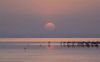 Filename=i_177.jpg
Filesize=9KB
Dimensions=480x301
Date added=Dec 03, 2018 i_177.jpg