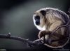 Filename=i_309.jpg
Filesize=21KB
Dimensions=427x320
Date added=Dec 03, 2018 i_309.jpg