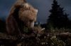 Filename=i_312.jpg
Filesize=25KB
Dimensions=480x320
Date added=Dec 03, 2018 i_312.jpg