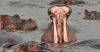 Filename=i_319.jpg
Filesize=26KB
Dimensions=480x252
Date added=Dec 03, 2018 i_319.jpg