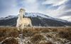 Filename=i_373.jpg
Filesize=36KB
Dimensions=480x303
Date added=Dec 03, 2018 i_373.jpg