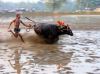 Filename=i_395.jpg
Filesize=30KB
Dimensions=427x320
Date added=Dec 03, 2018 i_395.jpg