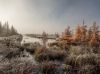 Filename=i_004.jpg
Filesize=33KB
Dimensions=427x320
Date added=Dec 03, 2018 i_004.jpg