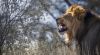 Filename=i_005.jpg
Filesize=38KB
Dimensions=480x266
Date added=Dec 03, 2018 i_005.jpg