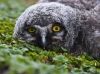 Filename=i_009.jpg
Filesize=36KB
Dimensions=427x320
Date added=Dec 03, 2018 i_009.jpg