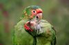 Filename=i_022.jpg
Filesize=18KB
Dimensions=480x320
Date added=Dec 03, 2018 i_022.jpg