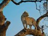 Filename=i_023.jpg
Filesize=32KB
Dimensions=427x320
Date added=Dec 03, 2018 i_023.jpg