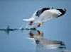 Filename=i_057.jpg
Filesize=14KB
Dimensions=427x320
Date added=Dec 03, 2018 i_057.jpg