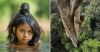 Filename=i_102.jpg
Filesize=36KB
Dimensions=480x252
Date added=Dec 03, 2018 i_102.jpg